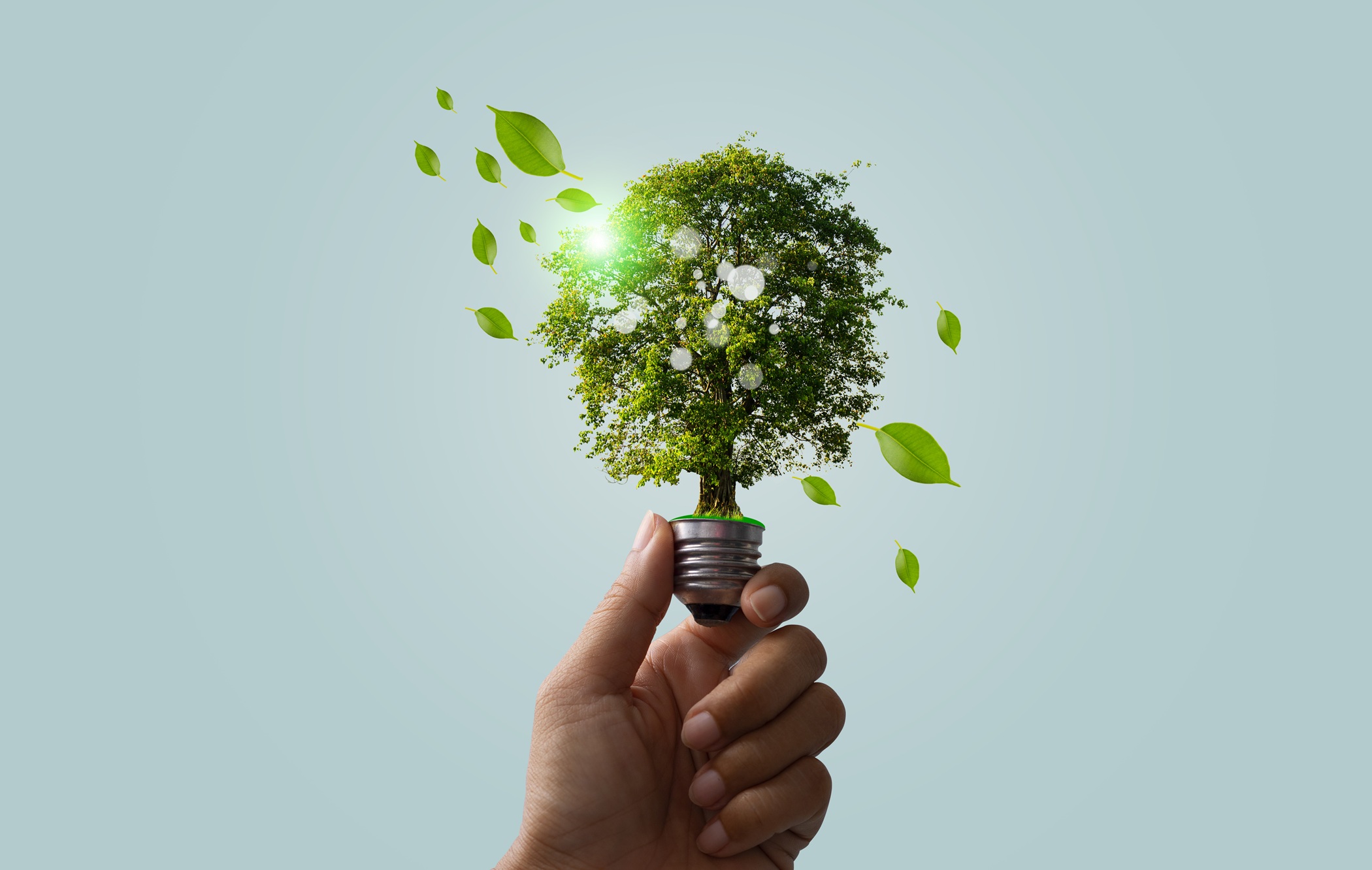 La Diagnosi energetica e i Sistemi di gestione dell’energia - avanzato